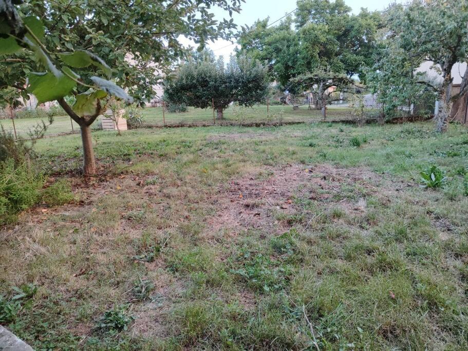 Campagne-Jolie Maison Avec Jardin- Proche Dole Chevigny  Eksteriør billede
